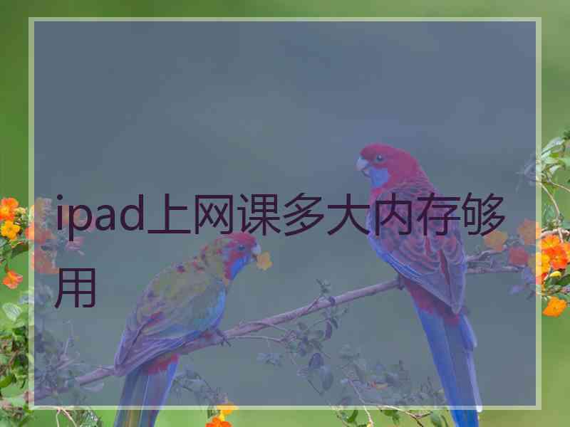 ipad上网课多大内存够用