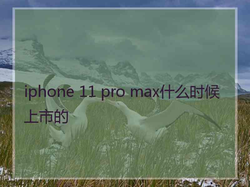 iphone 11 pro max什么时候上市的