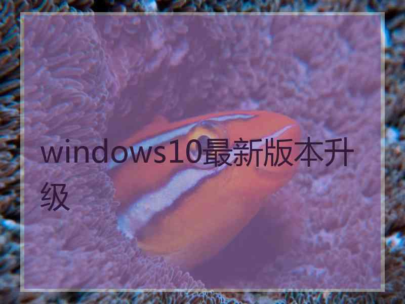 windows10最新版本升级