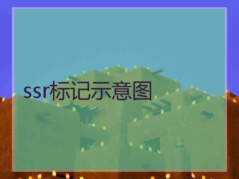 ssr标记示意图