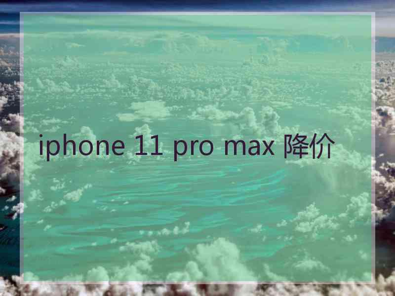 iphone 11 pro max 降价