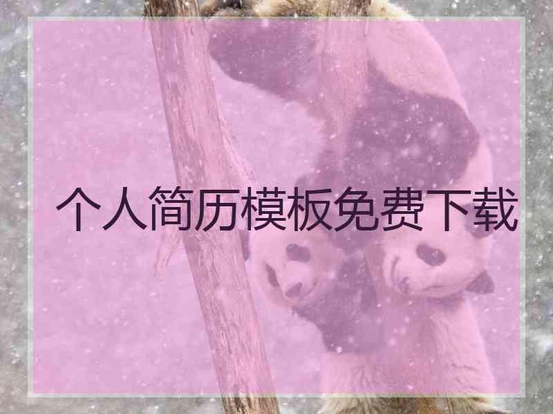 个人简历模板免费下载