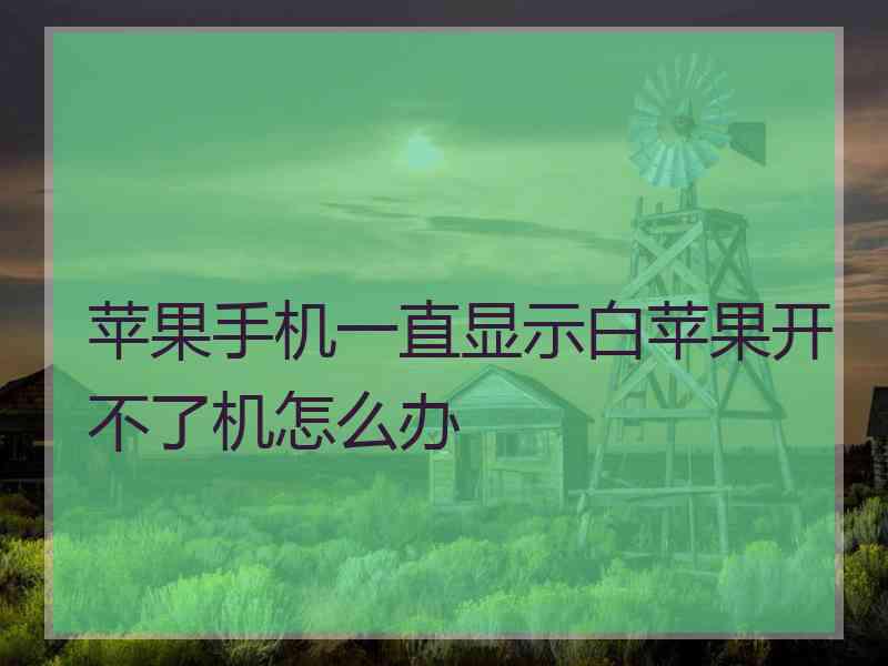 苹果手机一直显示白苹果开不了机怎么办