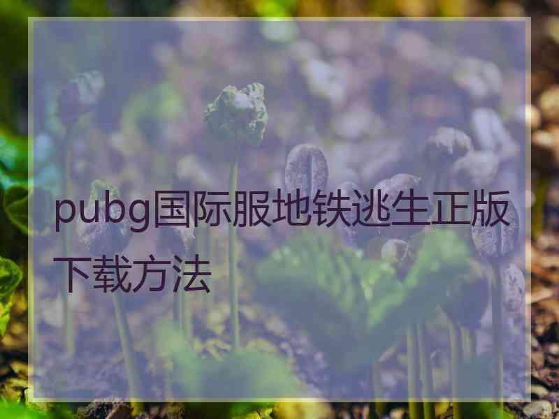 pubg国际服地铁逃生正版下载方法