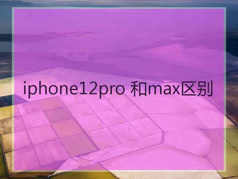 iphone12pro 和max区别