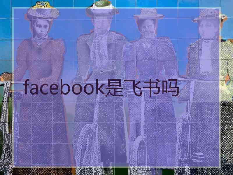 facebook是飞书吗