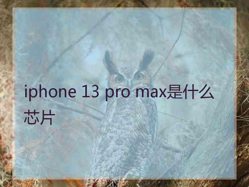 iphone 13 pro max是什么芯片