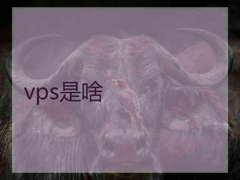 vps是啥