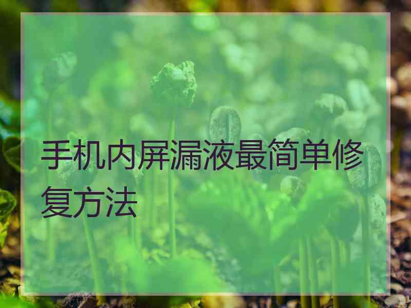 手机内屏漏液最简单修复方法