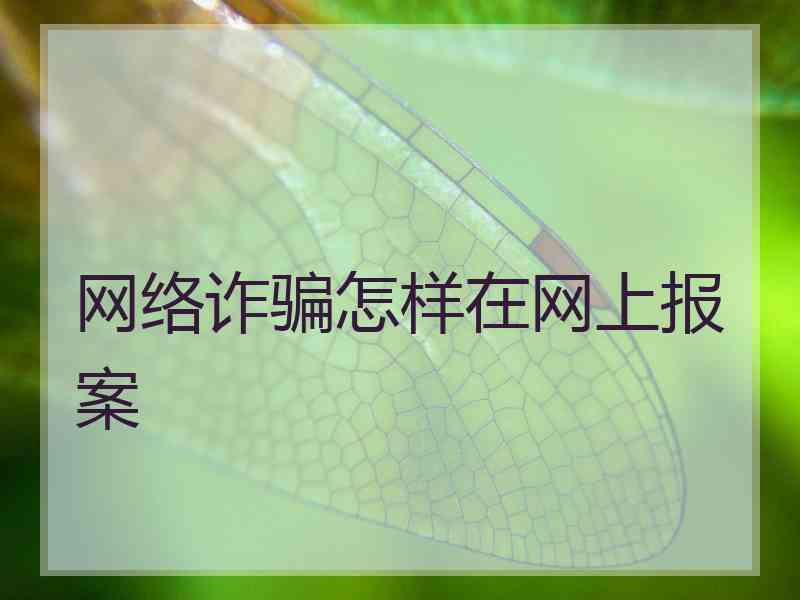 网络诈骗怎样在网上报案