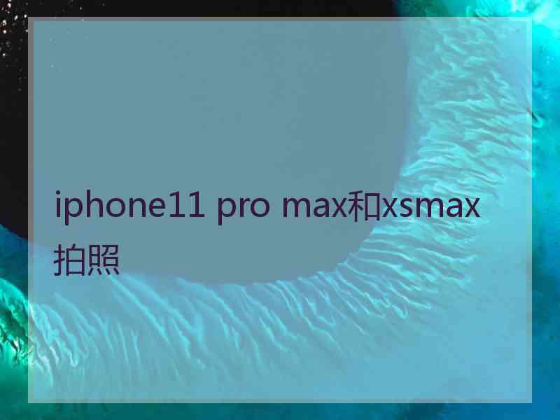 iphone11 pro max和xsmax拍照