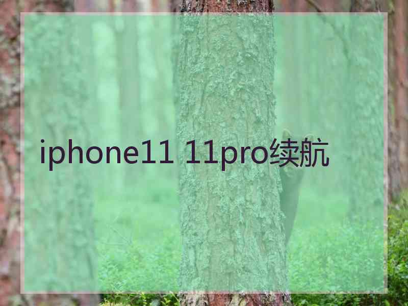 iphone11 11pro续航