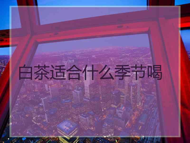 白茶适合什么季节喝