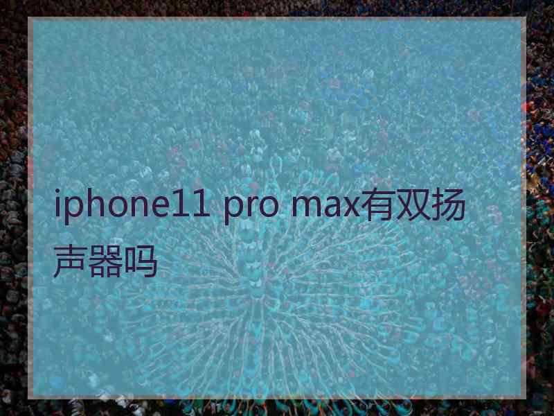 iphone11 pro max有双扬声器吗