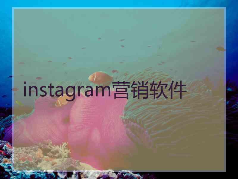 instagram营销软件