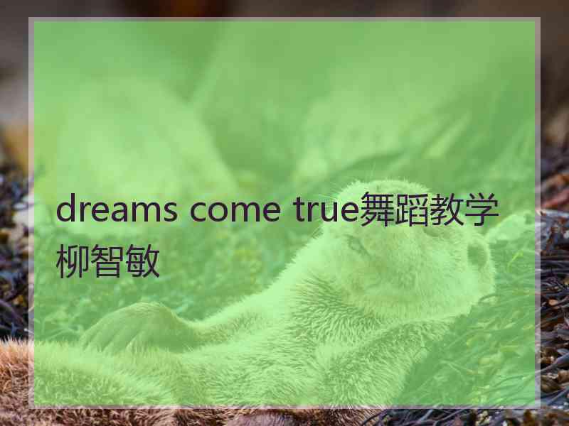 dreams come true舞蹈教学柳智敏