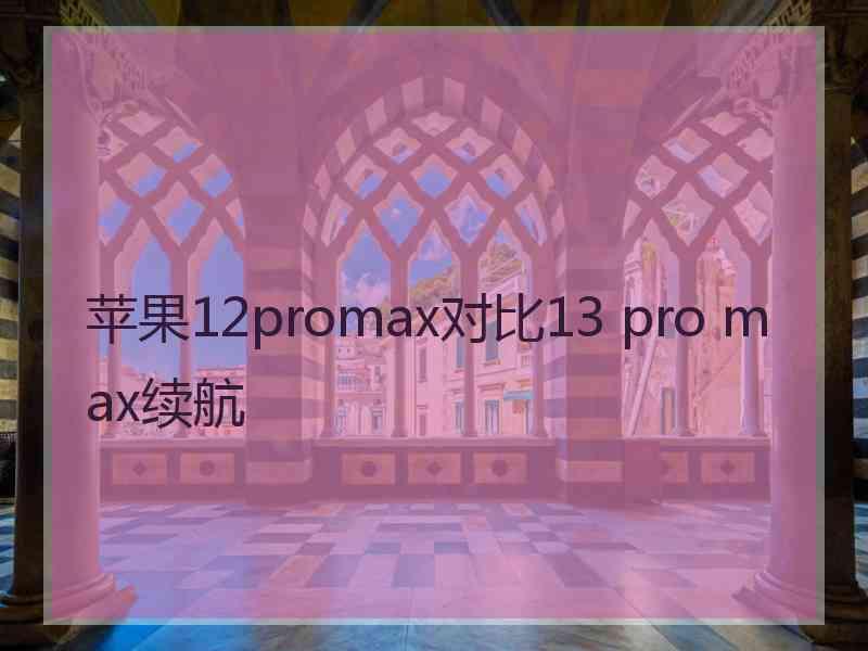 苹果12promax对比13 pro max续航