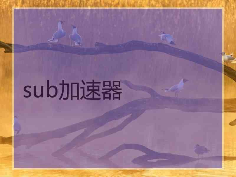 sub加速器