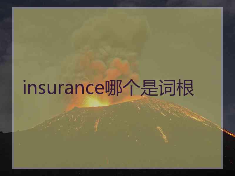 insurance哪个是词根