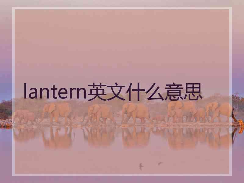 lantern英文什么意思