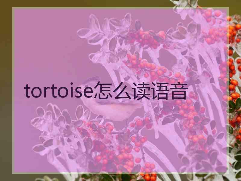 tortoise怎么读语音