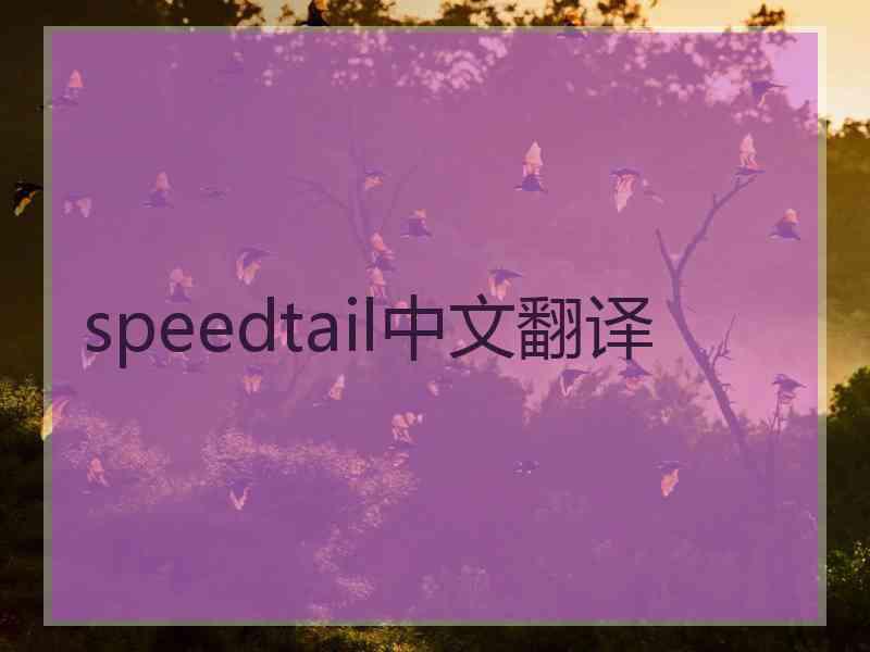 speedtail中文翻译