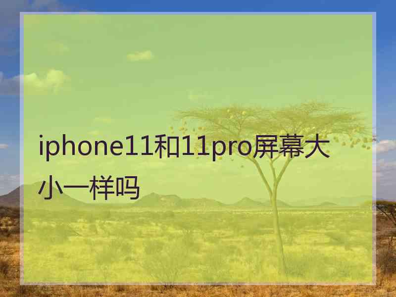 iphone11和11pro屏幕大小一样吗