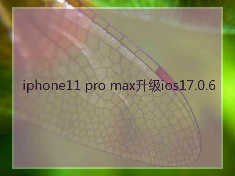 iphone11 pro max升级ios17.0.6