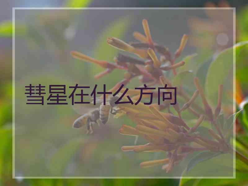 彗星在什么方向