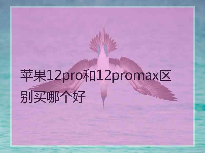 苹果12pro和12promax区别买哪个好