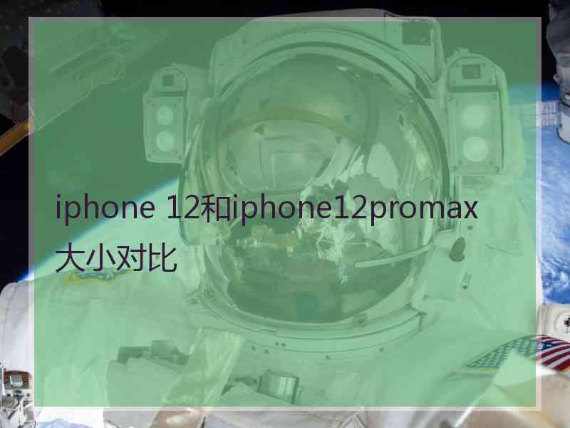 iphone 12和iphone12promax大小对比