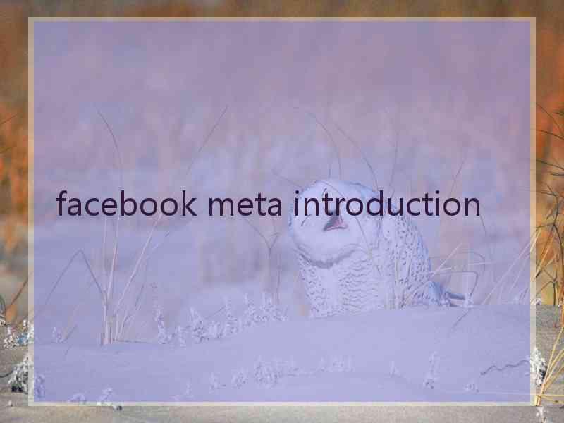 facebook meta introduction