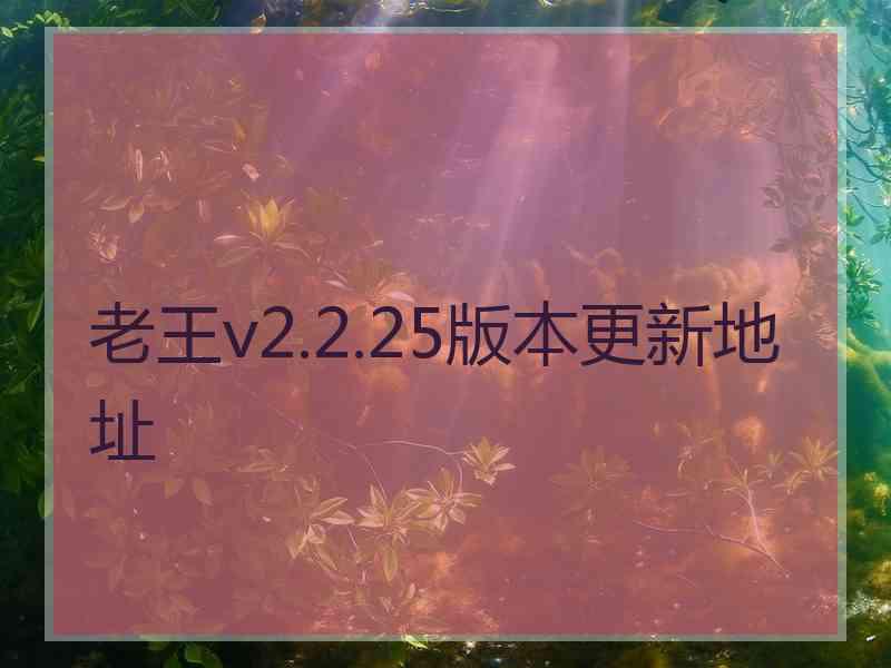 老王v2.2.25版本更新地址