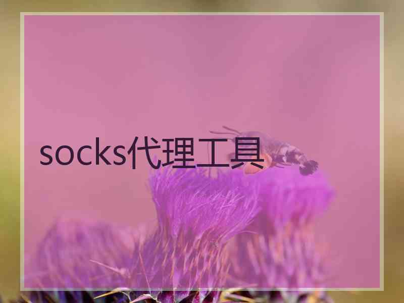 socks代理工具