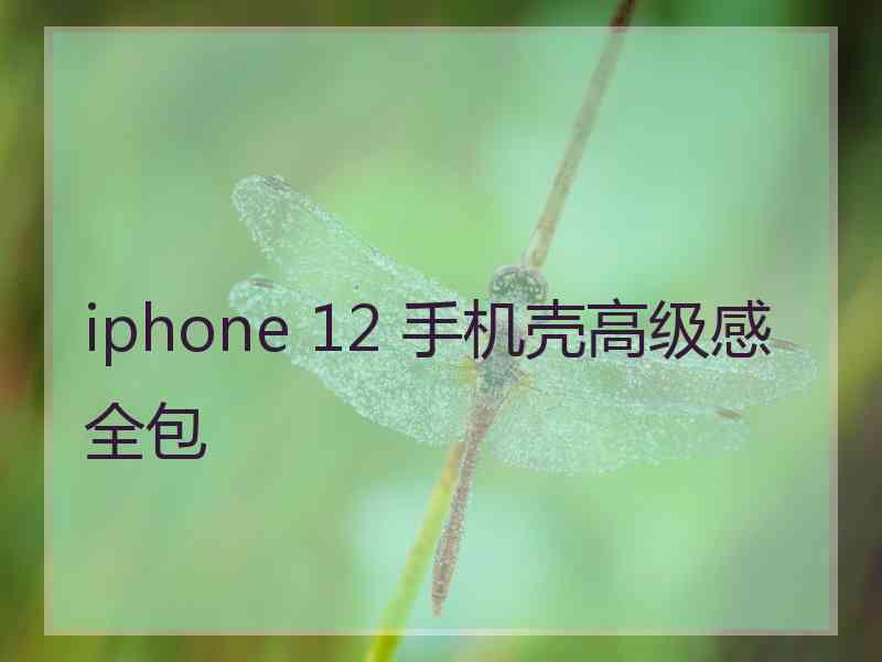 iphone 12 手机壳高级感全包