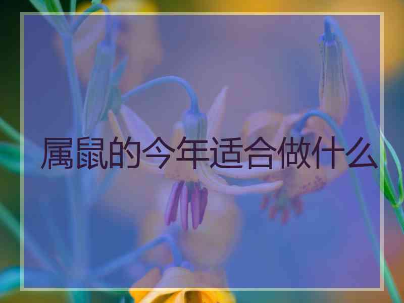 属鼠的今年适合做什么