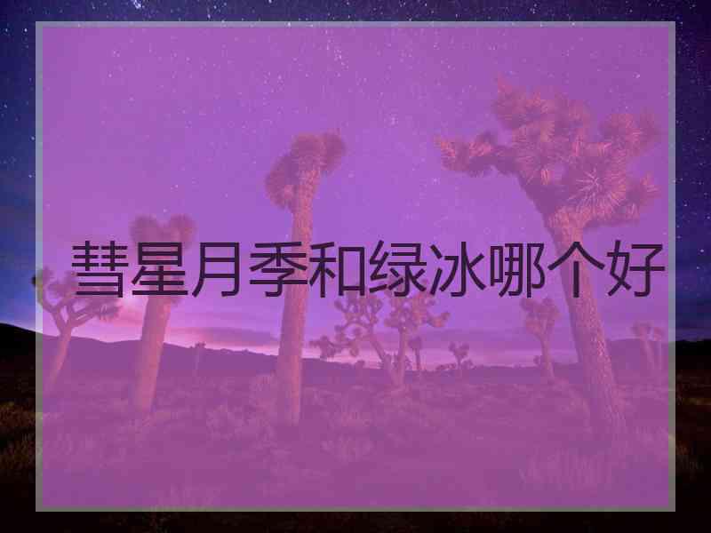 彗星月季和绿冰哪个好