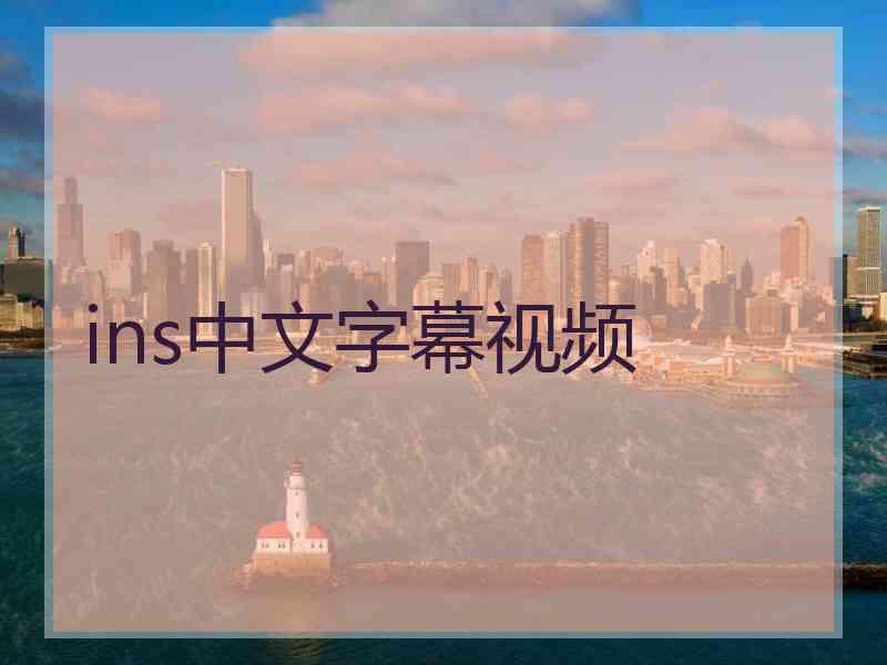 ins中文字幕视频