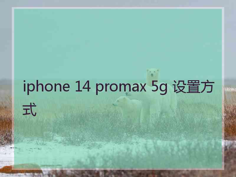 iphone 14 promax 5g 设置方式