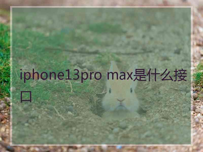 iphone13pro max是什么接口