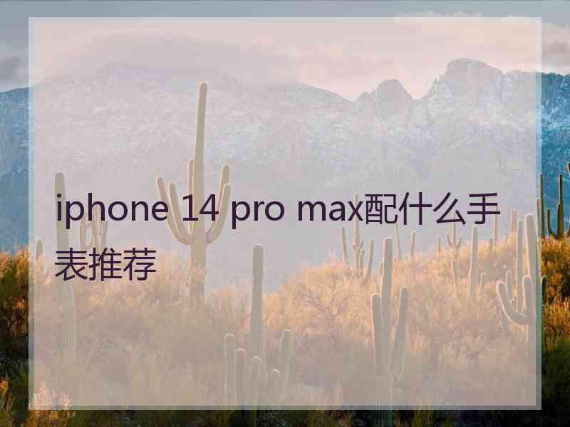 iphone 14 pro max配什么手表推荐