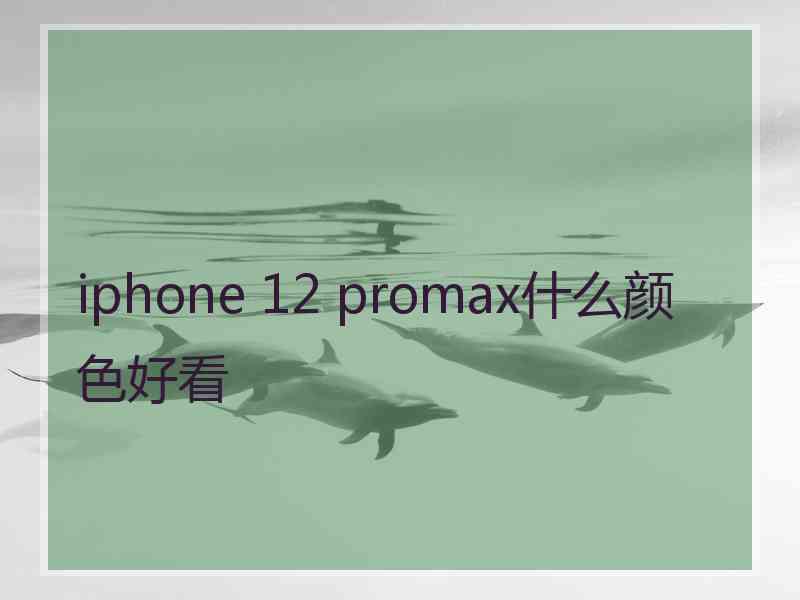 iphone 12 promax什么颜色好看