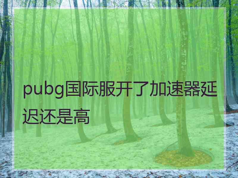 pubg国际服开了加速器延迟还是高