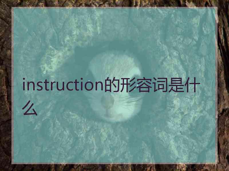 instruction的形容词是什么