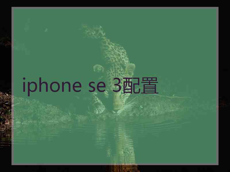 iphone se 3配置