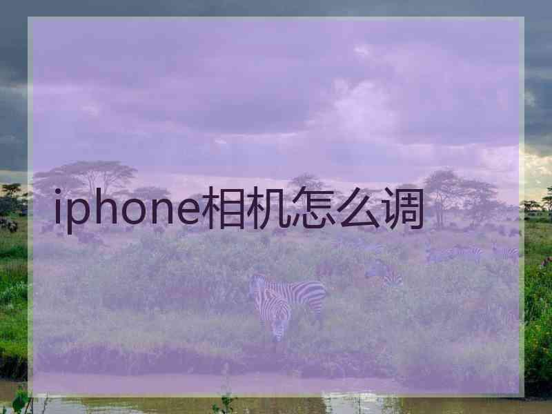 iphone相机怎么调