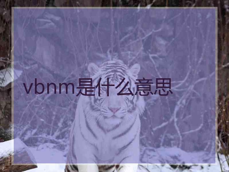 vbnm是什么意思