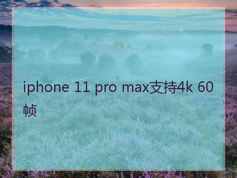 iphone 11 pro max支持4k 60帧