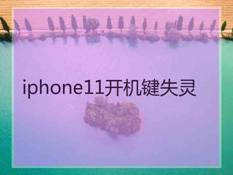 iphone11开机键失灵