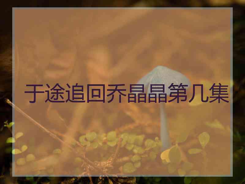 于途追回乔晶晶第几集